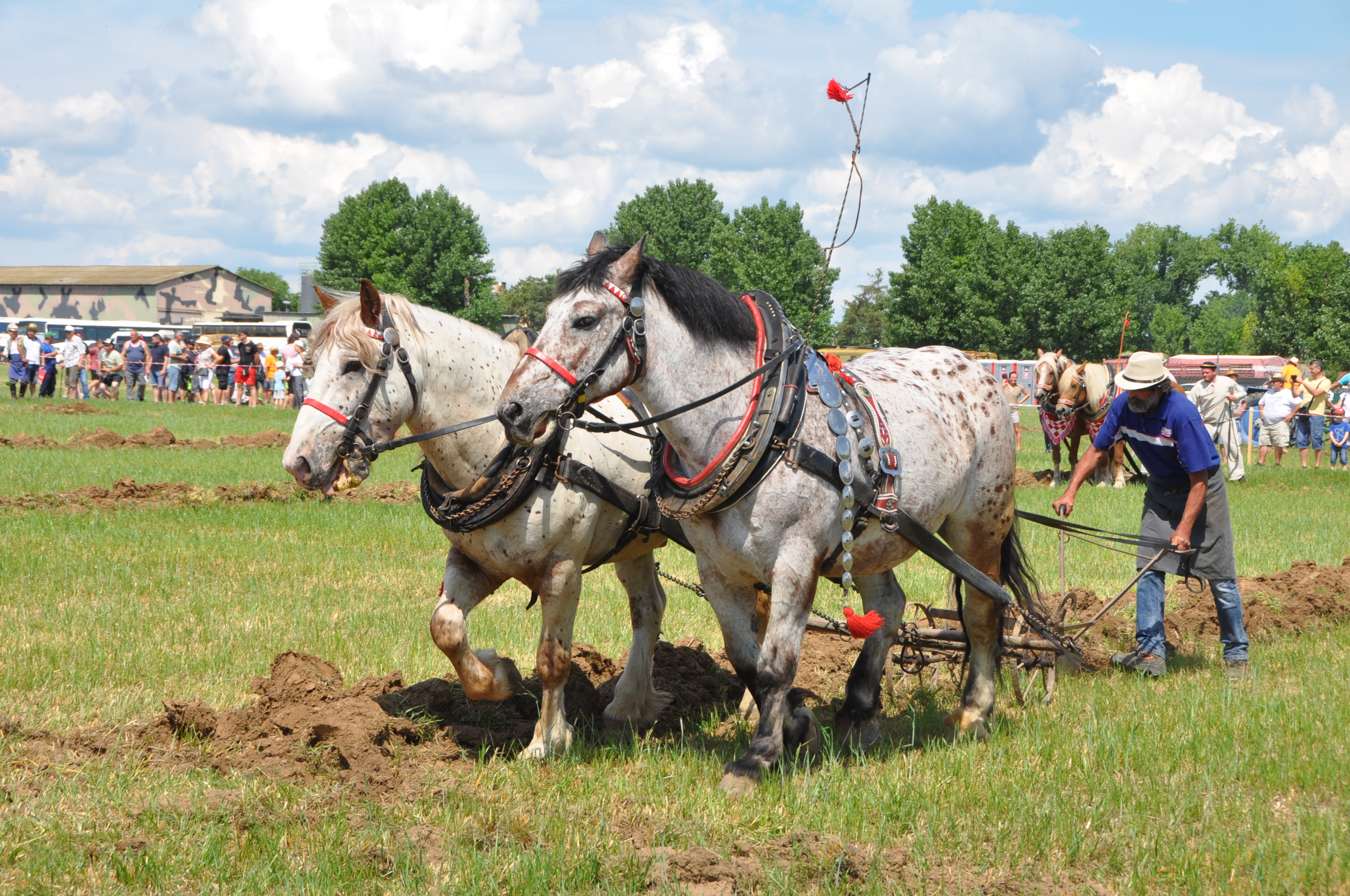 DSC_3062.JPG